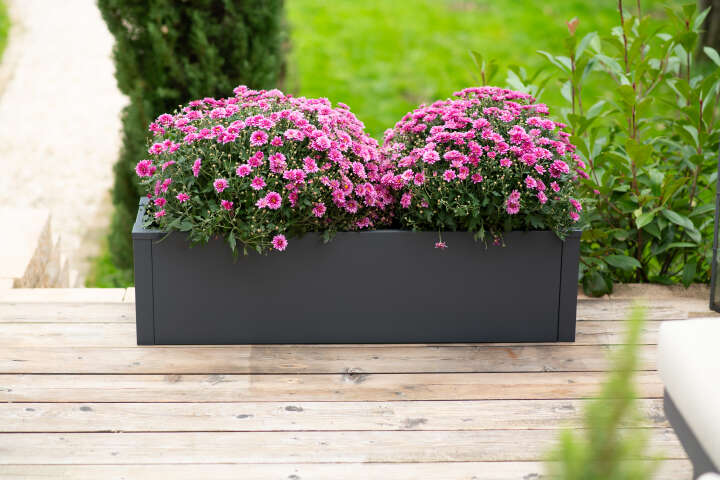 WESTMANN Pflanzkübel Talus